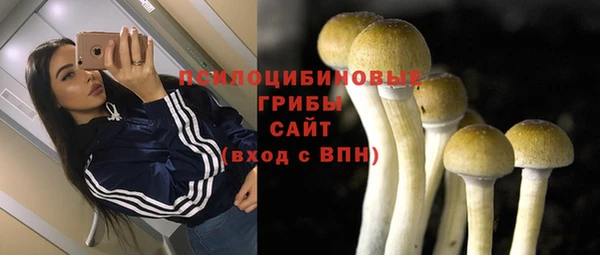 шишки Саяногорск