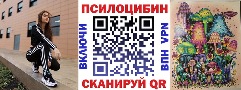 kraken как зайти  закладка  Гаврилов Посад  Псилоцибиновые грибы Psilocybine cubensis 